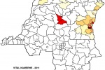 VITAL KAMERHE 2011.jpg